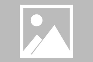 探索亚洲棋牌pg电子的神秘世界亚洲棋牌pg电子